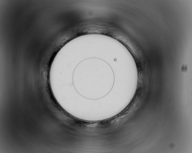 X0000103900309200810311416