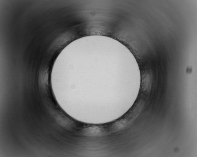 X0000103900310200810311416