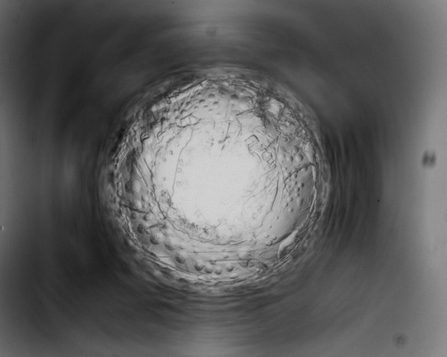 X0000103900311200810311416