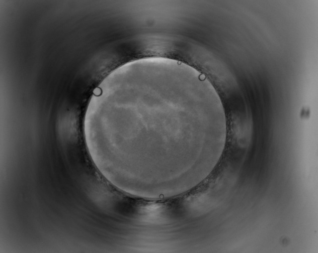 X0000103900312200810311416