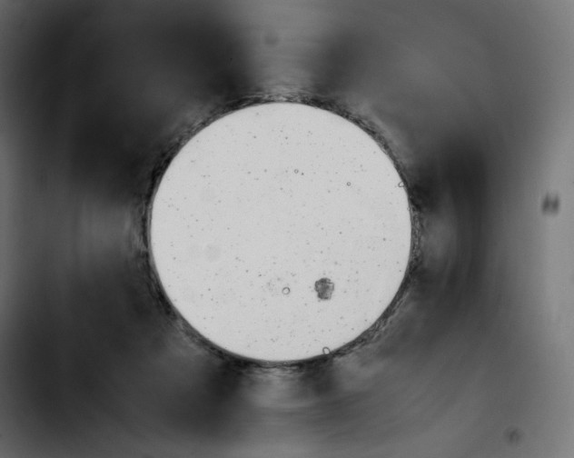 X0000103900313200810311416