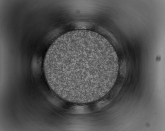 X0000103900314200810311415