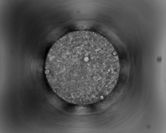 X0000103900315200810311415