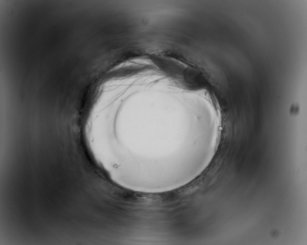 X0000103900317200810311415