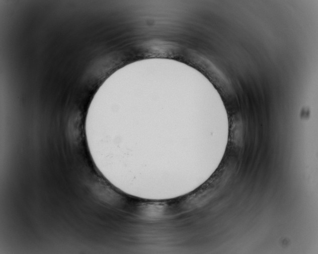 X0000103900318200810311415