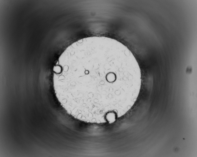 X0000103900319200810311415