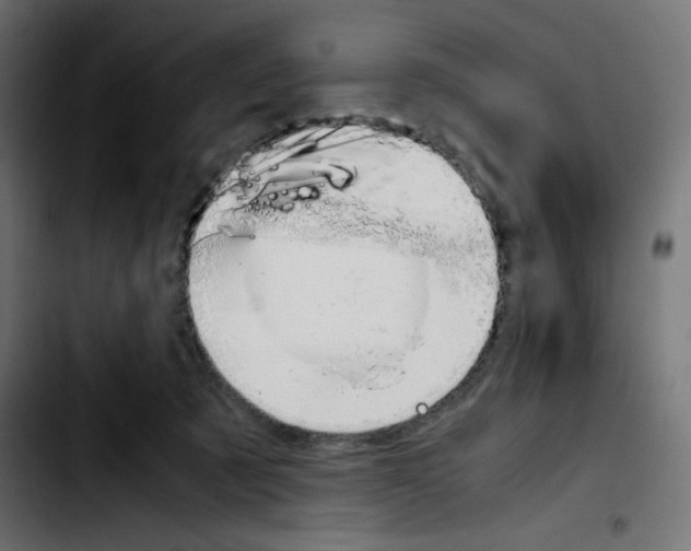 X0000103900321200810311415