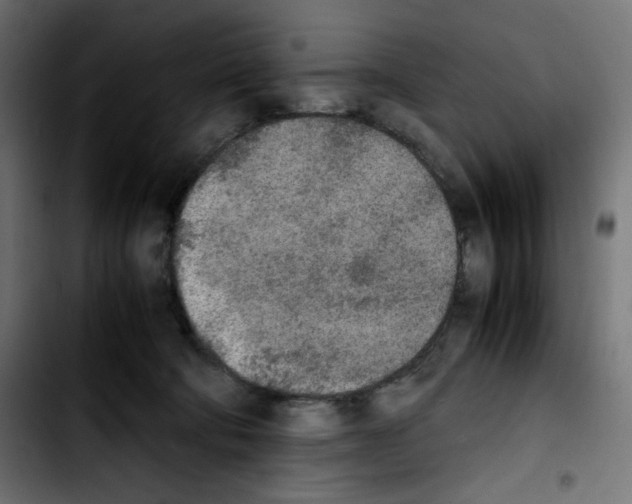 X0000103900322200810311415