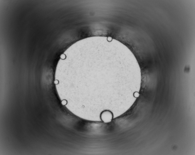 X0000103900323200810311415