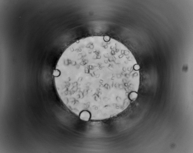 X0000103900324200810311415