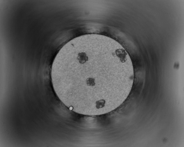 X0000103900325200810311415