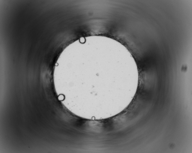 X0000103900327200810311415