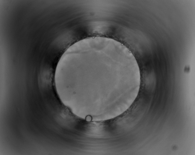 X0000103900328200810311415