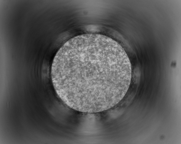 X0000103900330200810311415