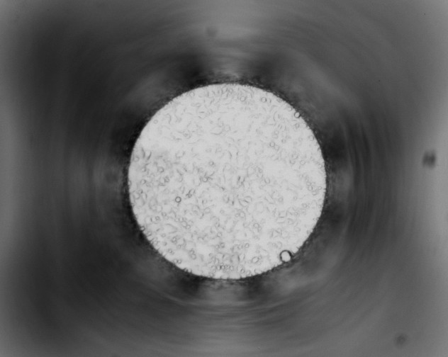 X0000103900331200810311415