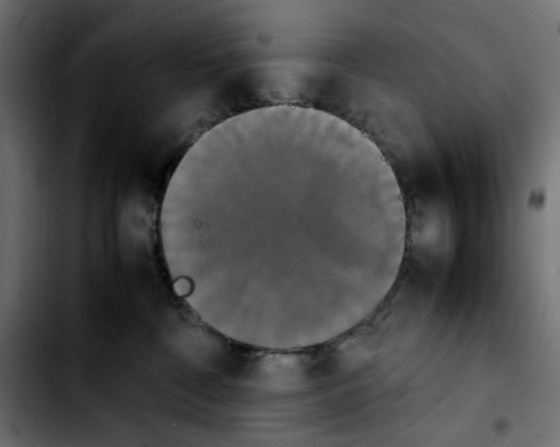 X0000103900332200810311415