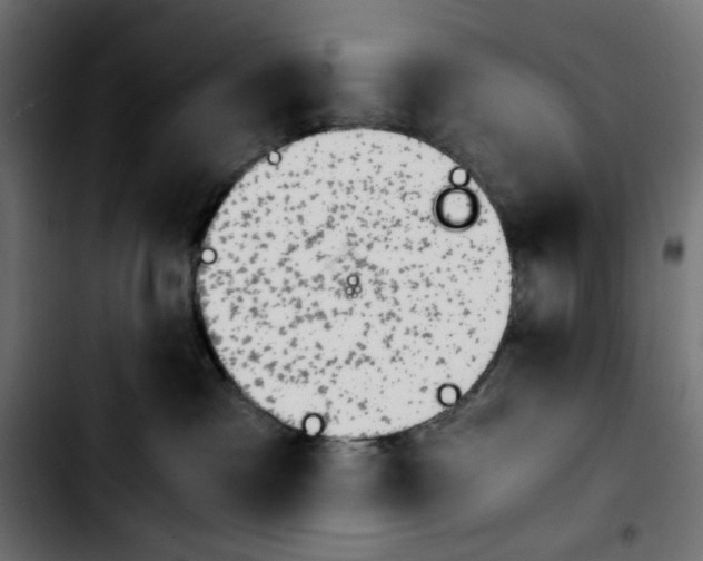 X0000103900333200810311415