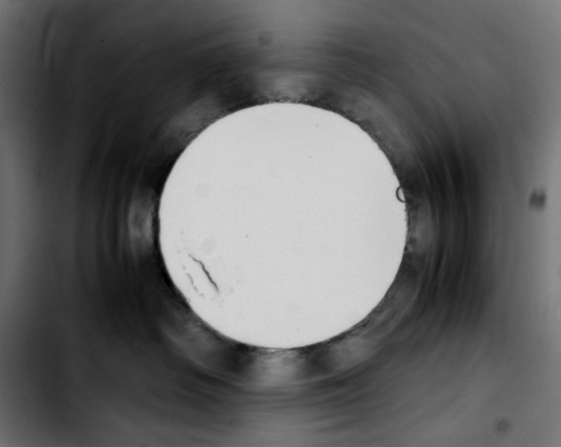 X0000103900334200810311415