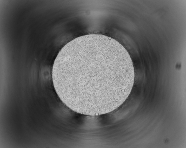 X0000103900335200810311415