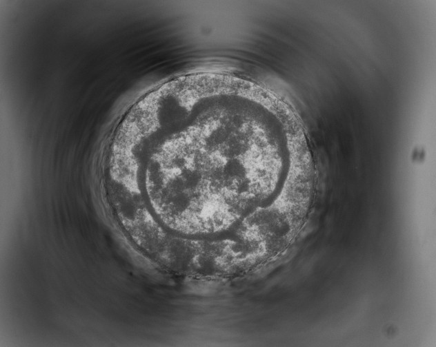 X0000103900337200810311414