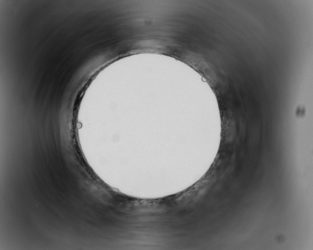 X0000103900338200810311414