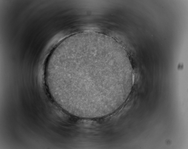 X0000103900339200810311414