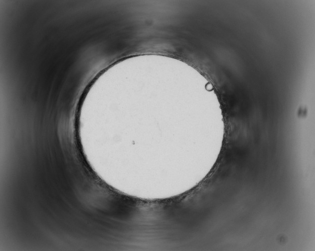 X0000103900340200810311415