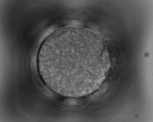 X0000103900341200810311415