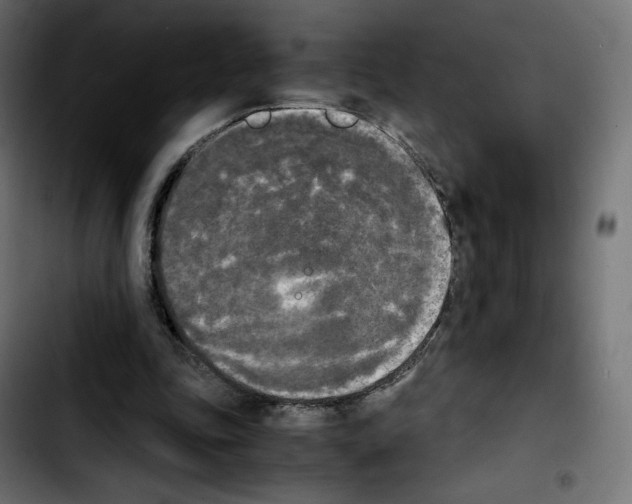 X0000103900343200810311415