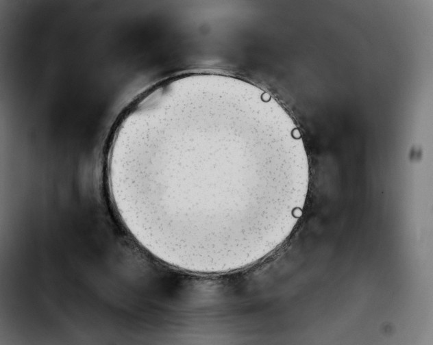 X0000103900344200810311415