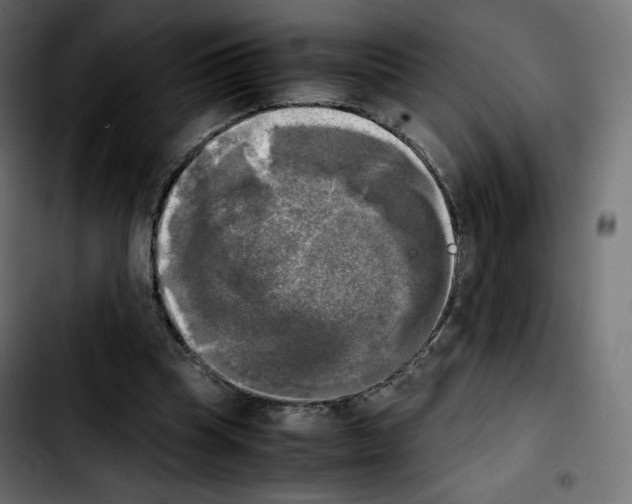 X0000103900345200810311415