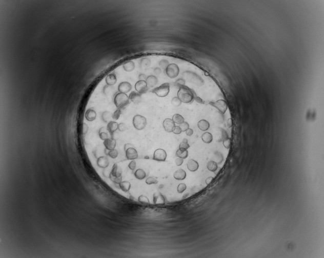 X0000103900346200810311415