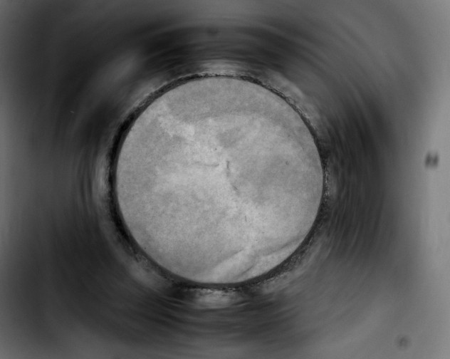 X0000103900347200810311415