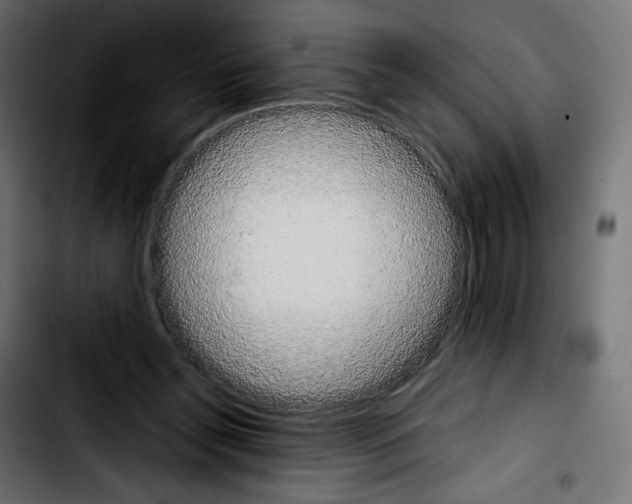 X0000103900348200810311415