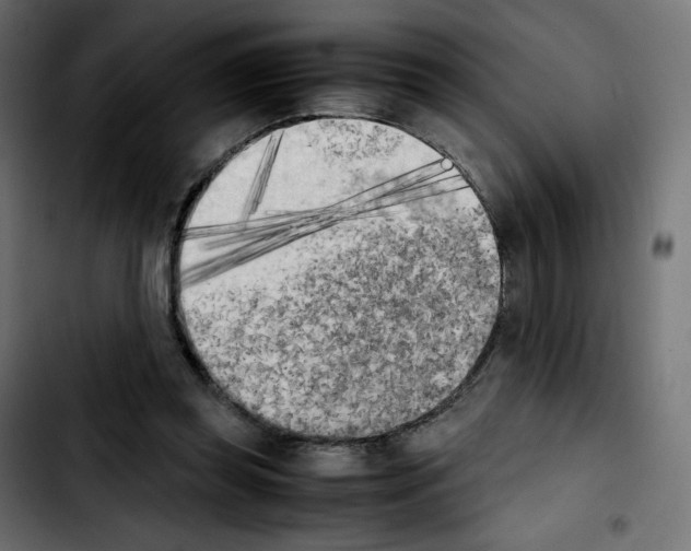 X0000103900349200810311415