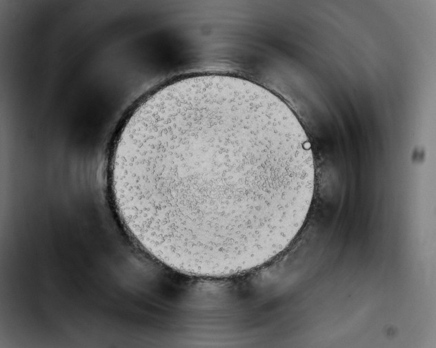 X0000103900350200810311415