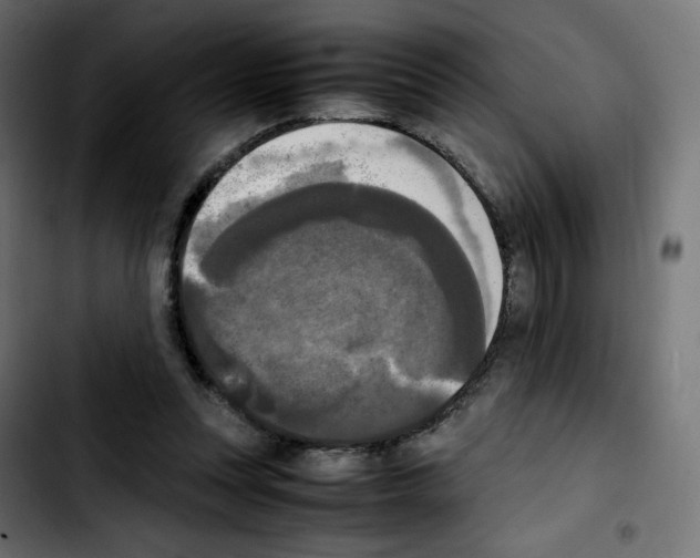 X0000103900351200810311415