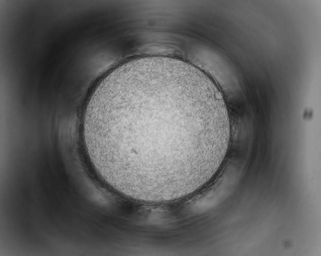 X0000103900352200810311415