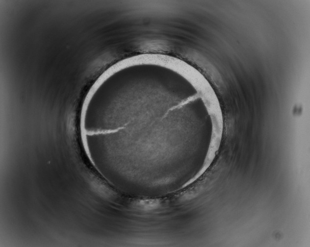 X0000103900353200810311415