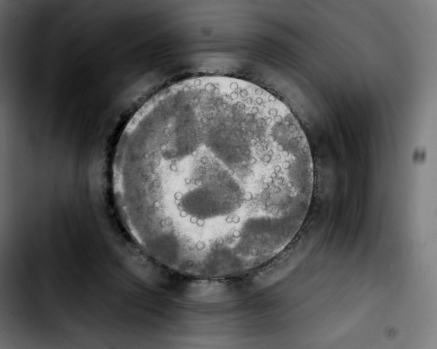 X0000103900354200810311415