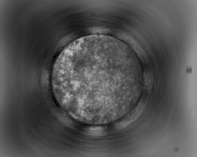 X0000103900357200810311415