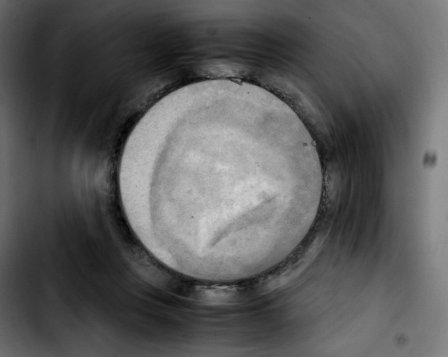 X0000103900359200810311415