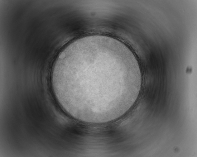 X0000103900360200810311415