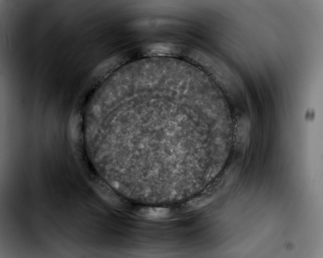 X0000103900361200810311415