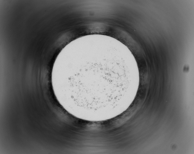 X0000103900362200810311415