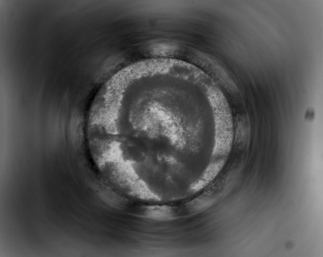 X0000103900363200810311415