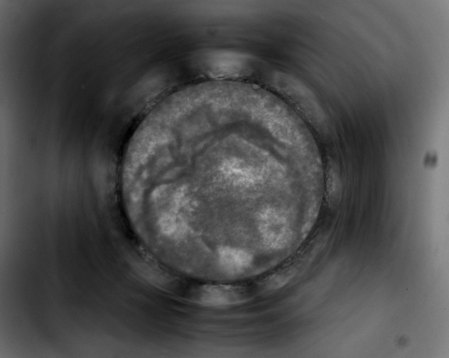 X0000103900367200810311415