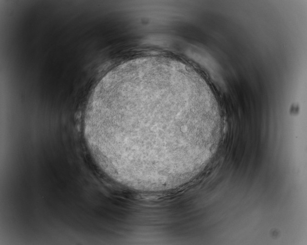 X0000103900368200810311415