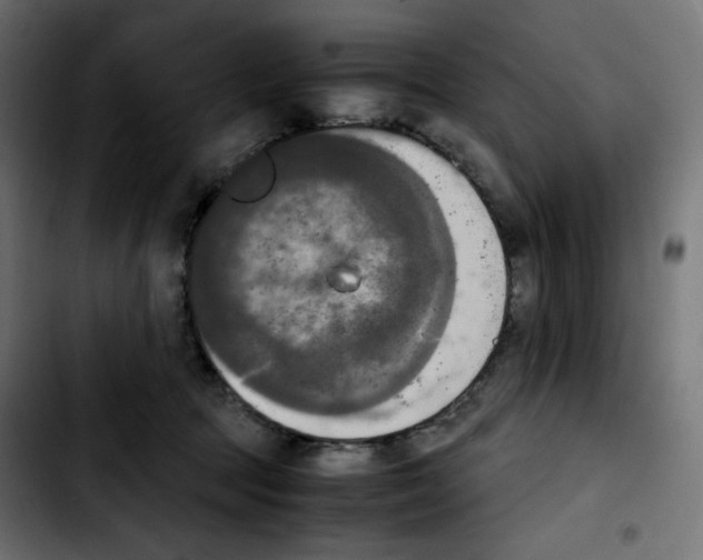 X0000103900369200810311415