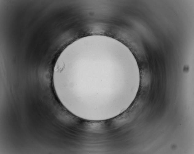 X0000103900370200810311415